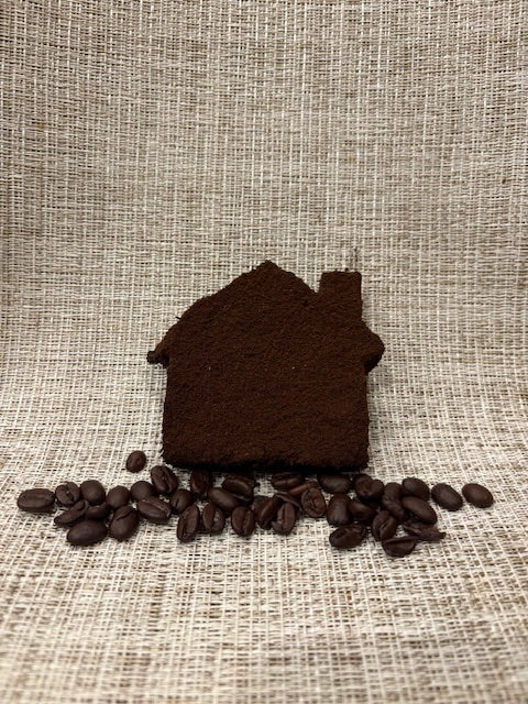 Seed Bomb - House Design